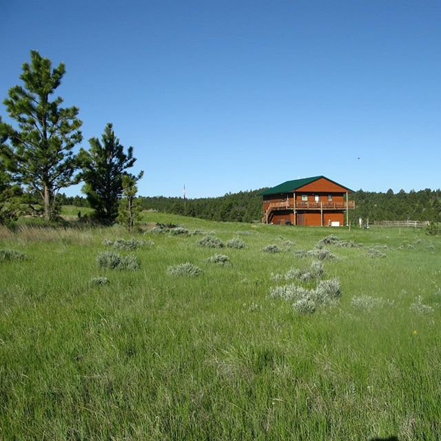 ✨NEW LISTING✨ this residence is located in central Montana and would be perfect for a permanent home or a vacation getaway! Click the link in our bio for more photos and information!