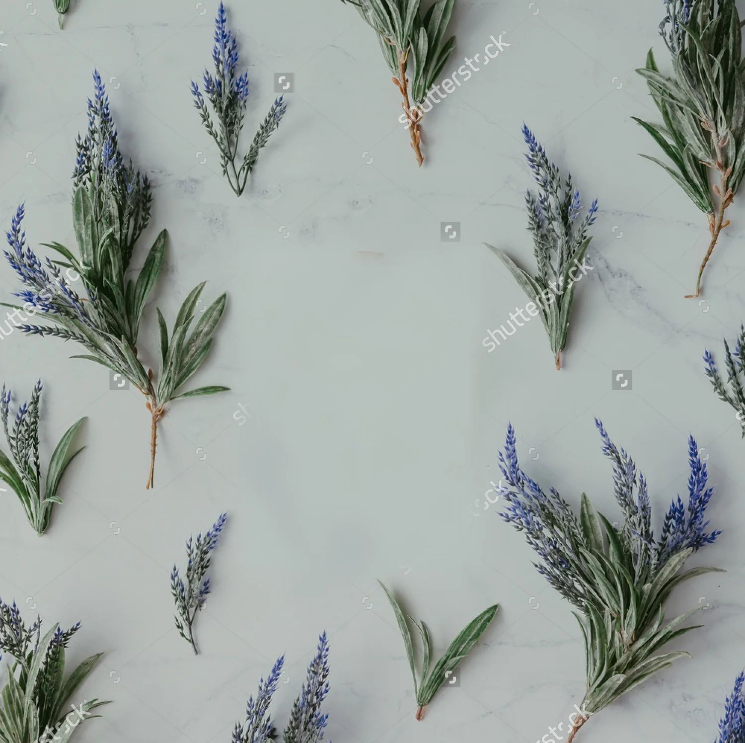 stock-photo-creative-mock-up-layout-made-of-lavender-branches-with-glass-bottle-on-table-homemade-flat-lay-531103147.jpg