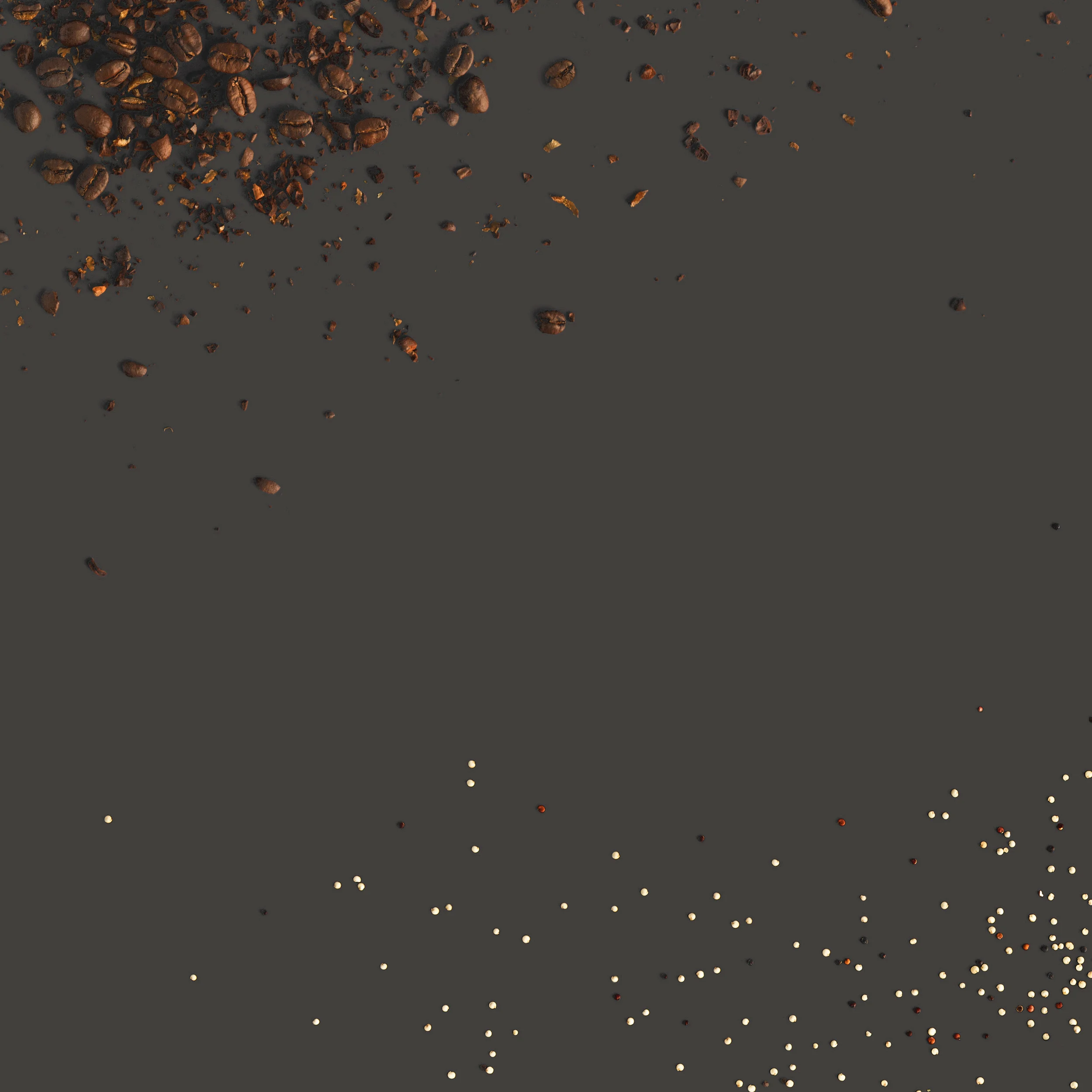 grey background2.jpg