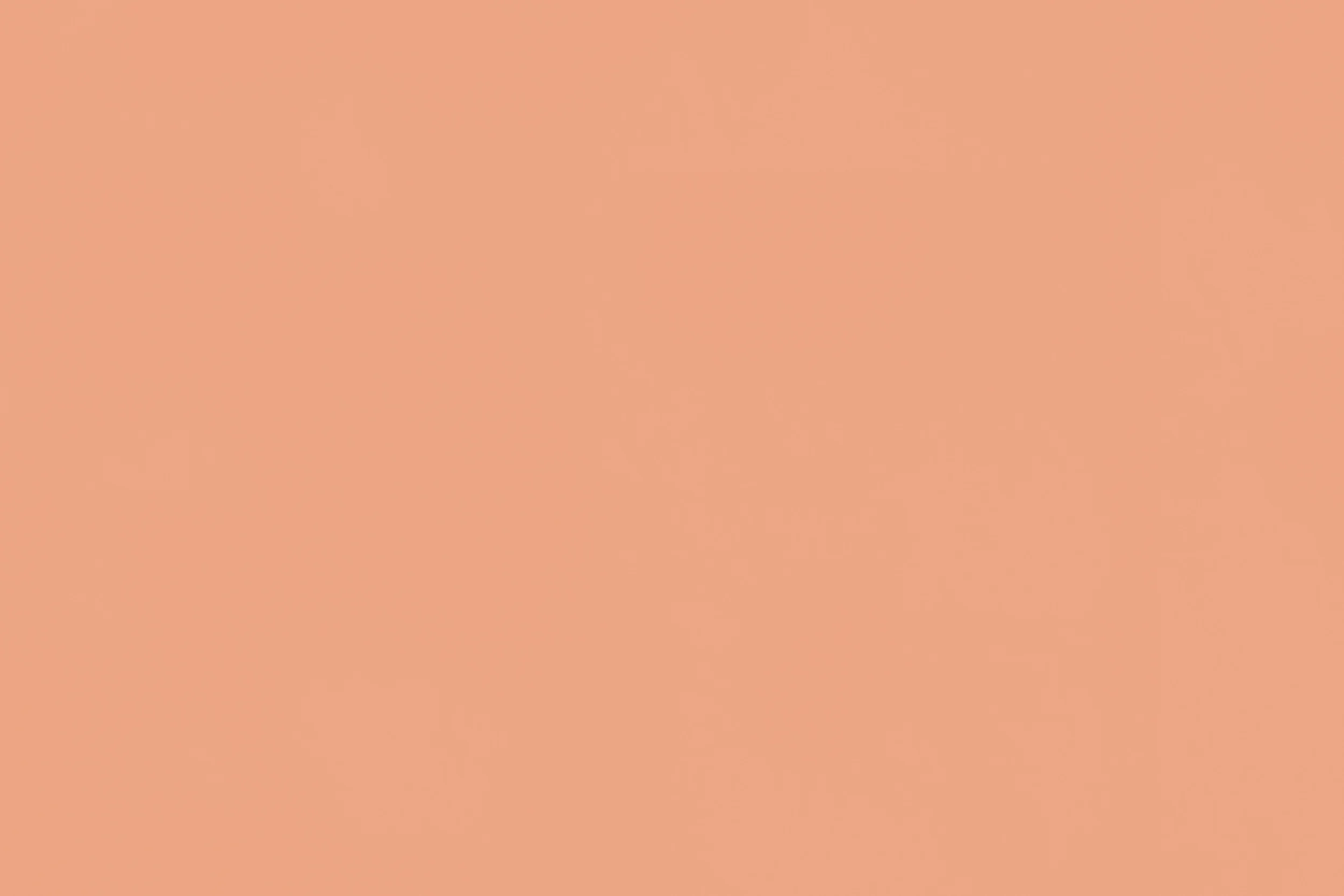 pastel oranger bg.jpg