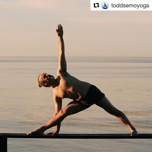 LOW-BACK CARE 🧘🏻&zwj;♂️
.
. Workshop Description 💡: The lower back is one of the most common body ailments that the general population experiences throughout their lifetime. Join Certified Iyengar Yoga Teacher (CIYT) @toddsemoyoga as he addresses 