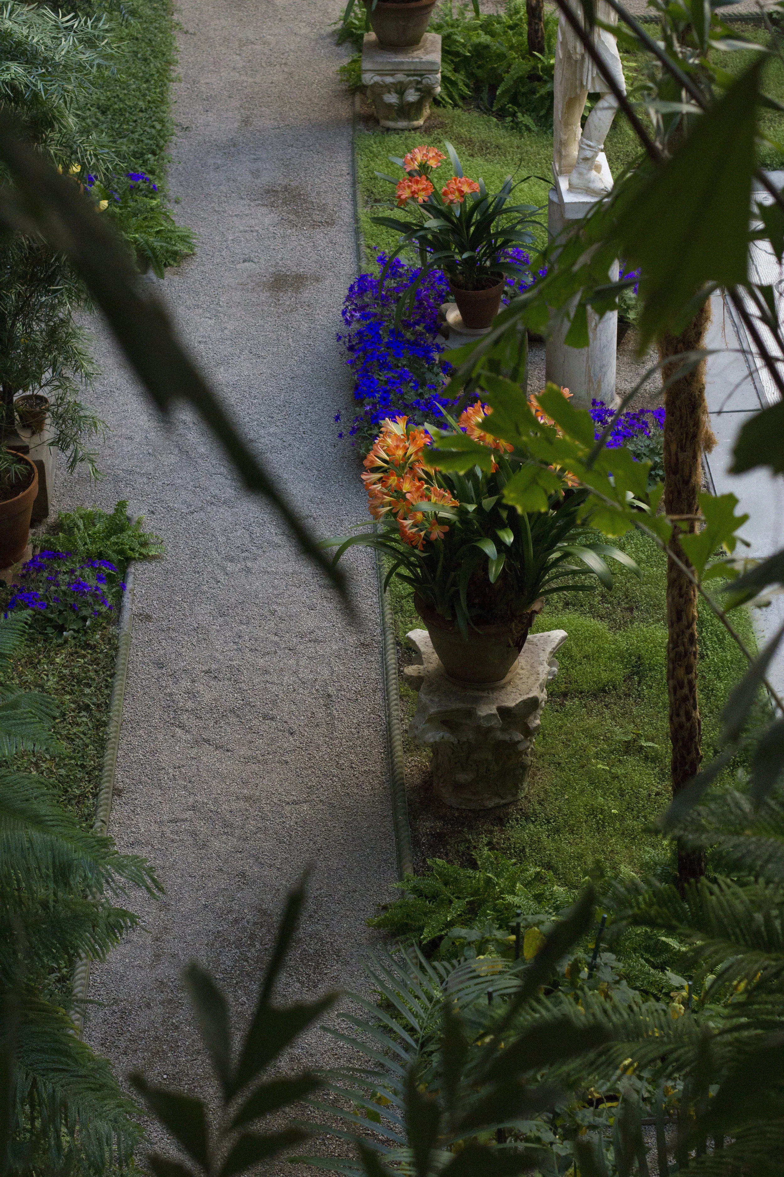 courtyard plants and path .jpg