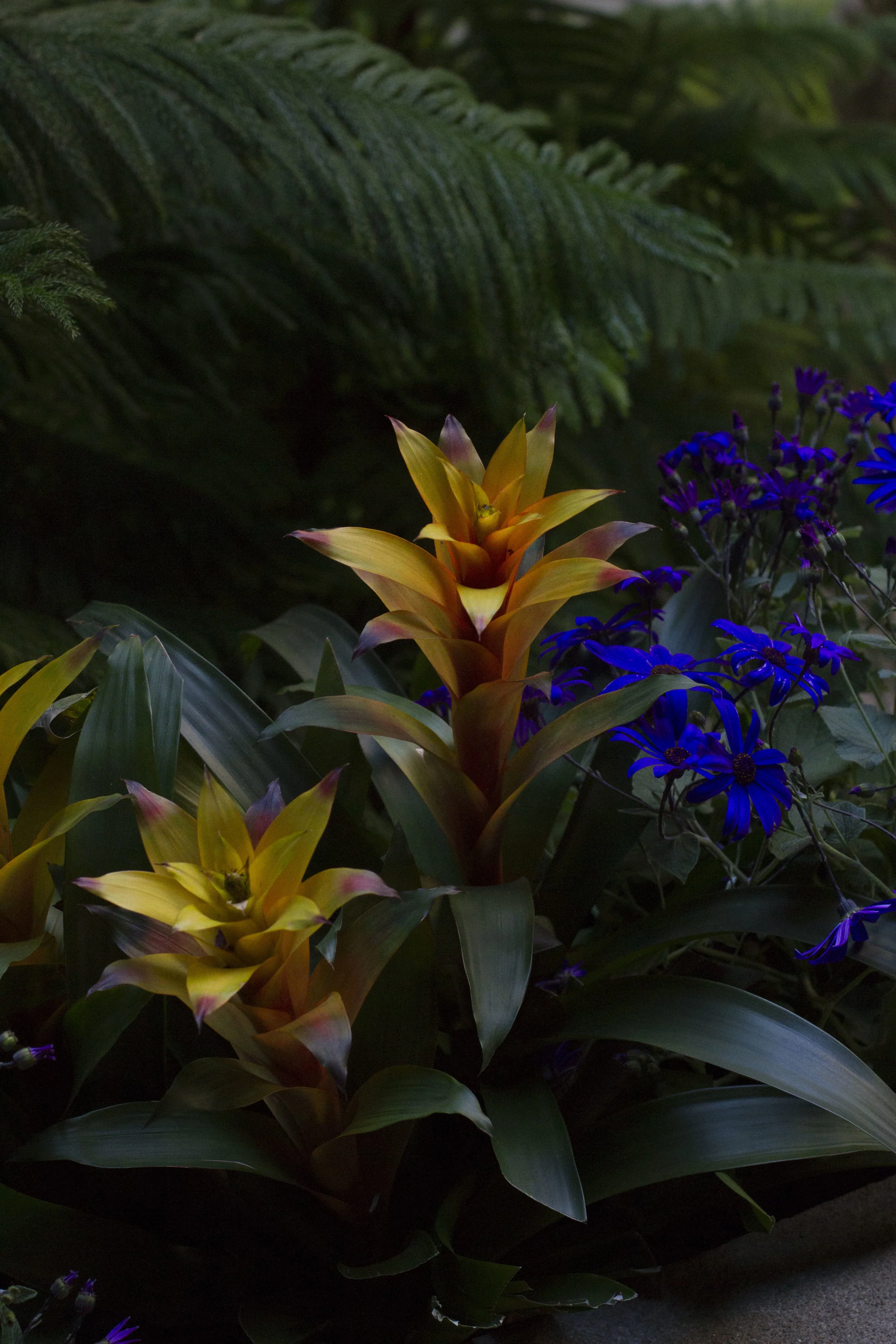 Isabella Stewart Gardner + Mood