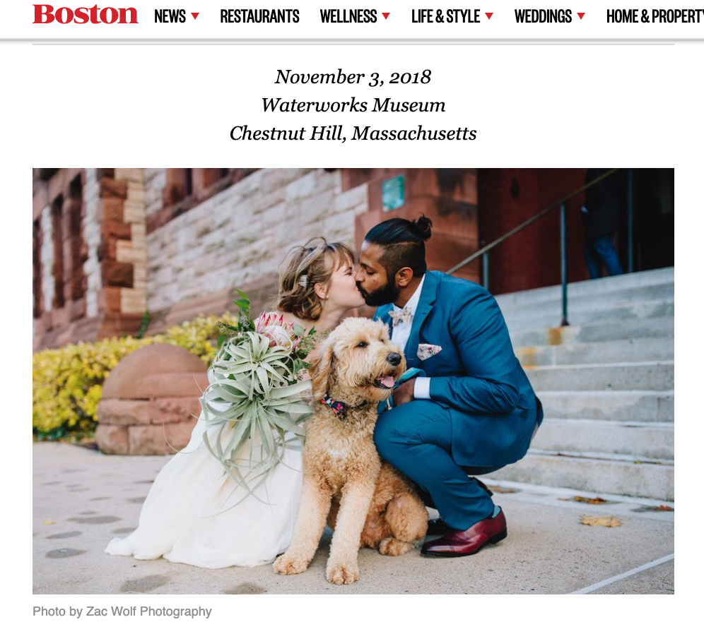 Screen Shot 2019-07-22 at 11.56.44 AM.png