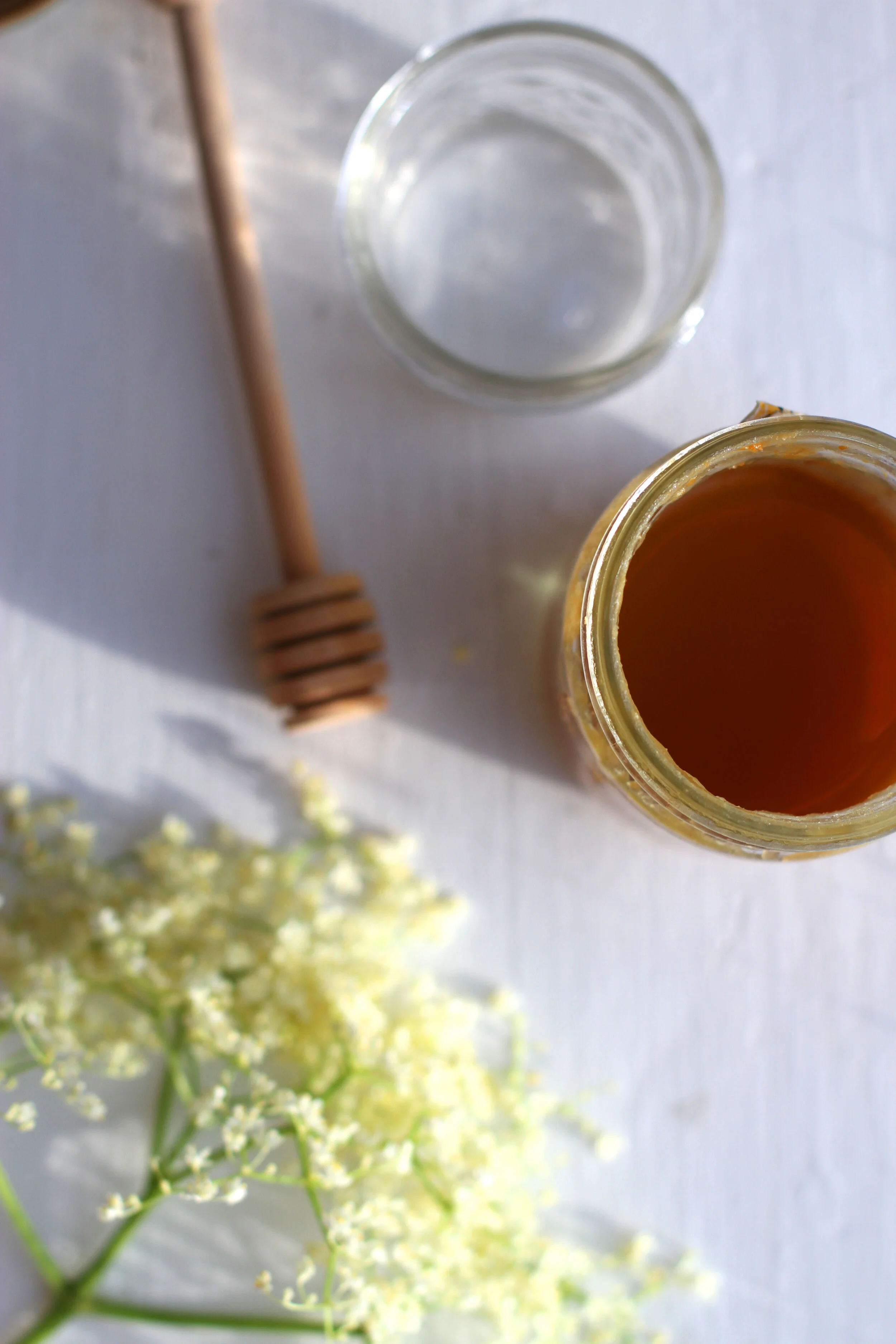 Healing Food + Herbal Support Resources