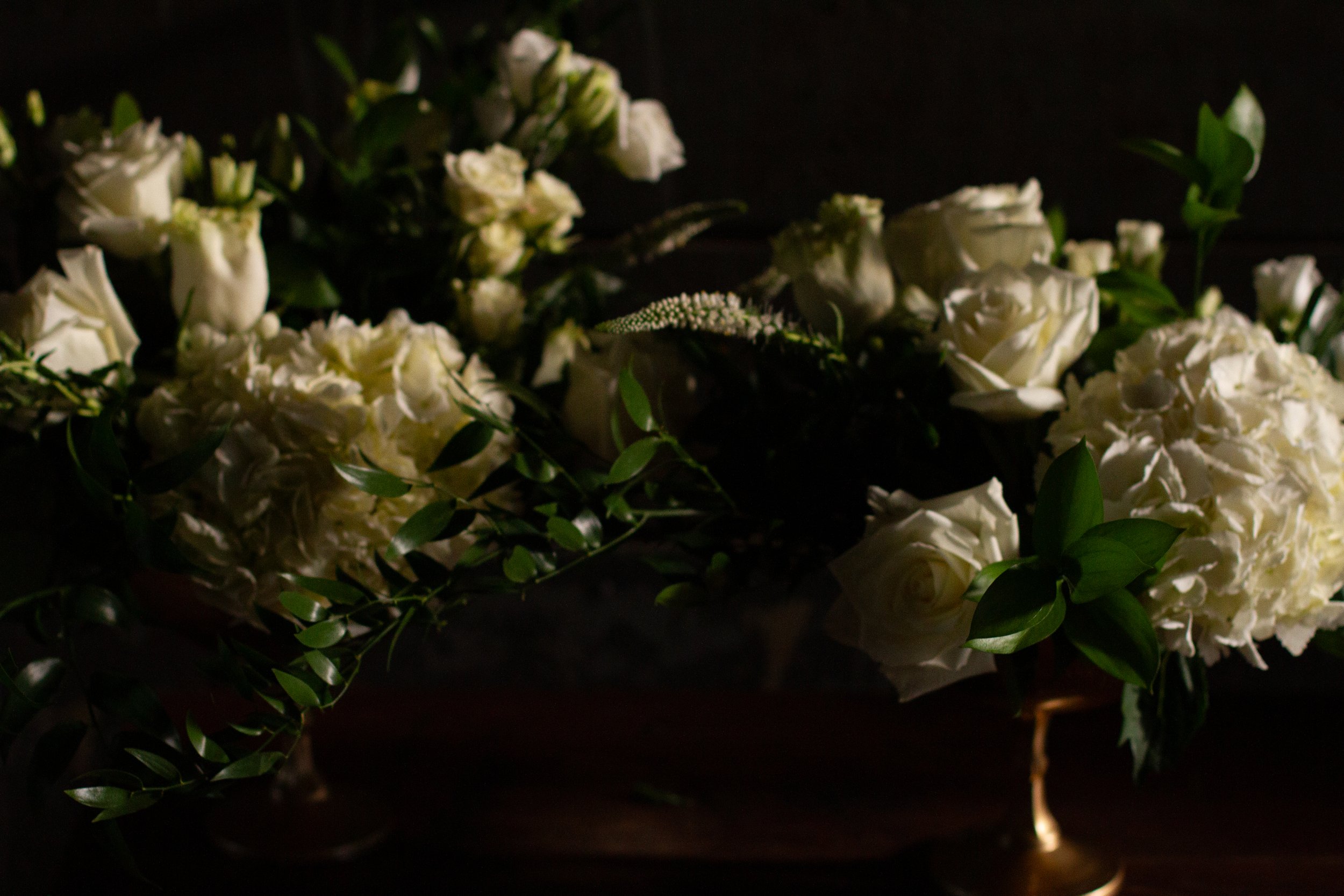 WF home page image.jpg