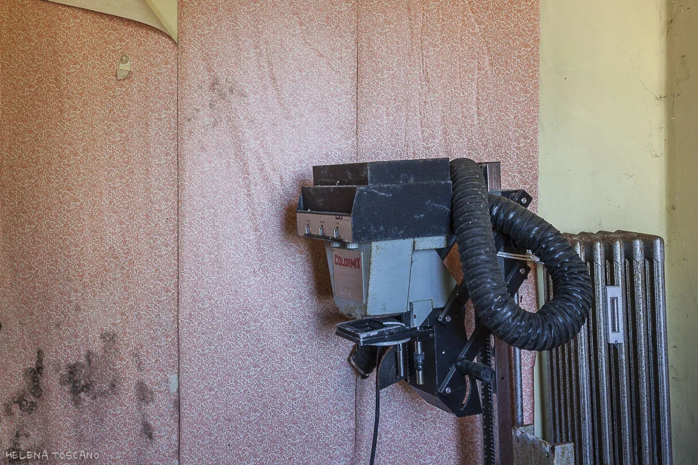 mg_6305.jpg