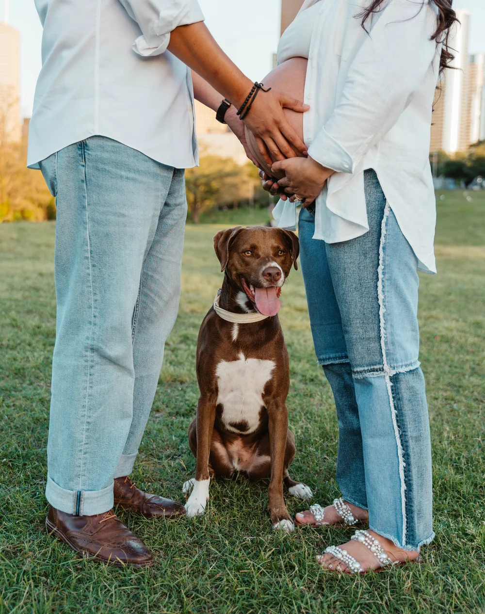 Expectant parents holding their baby bump with their dog beside them