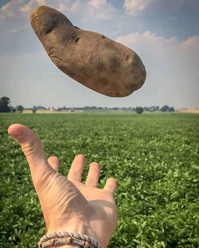 11/50: IDAHO. Land of the potatoes or something like that... True story - That photo was snapped right before the field owners sicked their dogs on me... guess they don&rsquo;t like photos of their potatoes?? I didn&rsquo;t even pick that one I got i