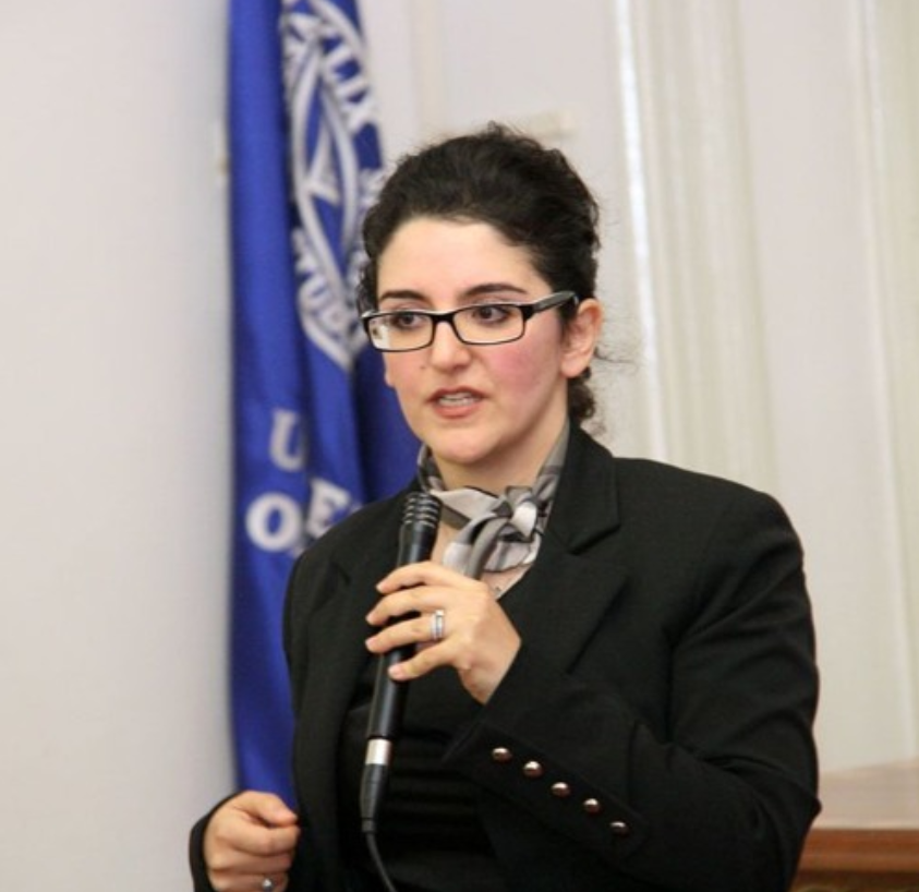 Ep. 004:  Naghmeh Sobhani : Peacebuilding Through Education in Bosnia and Herzegovina