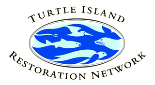 turtle-island-320.jpg