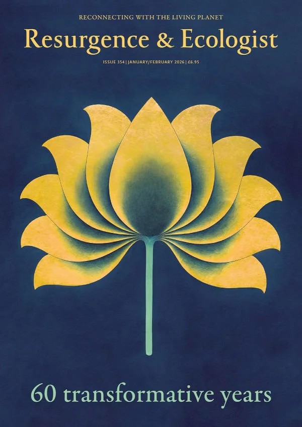 Cover of Resurgens & Ecologist magazine, Issue 354.