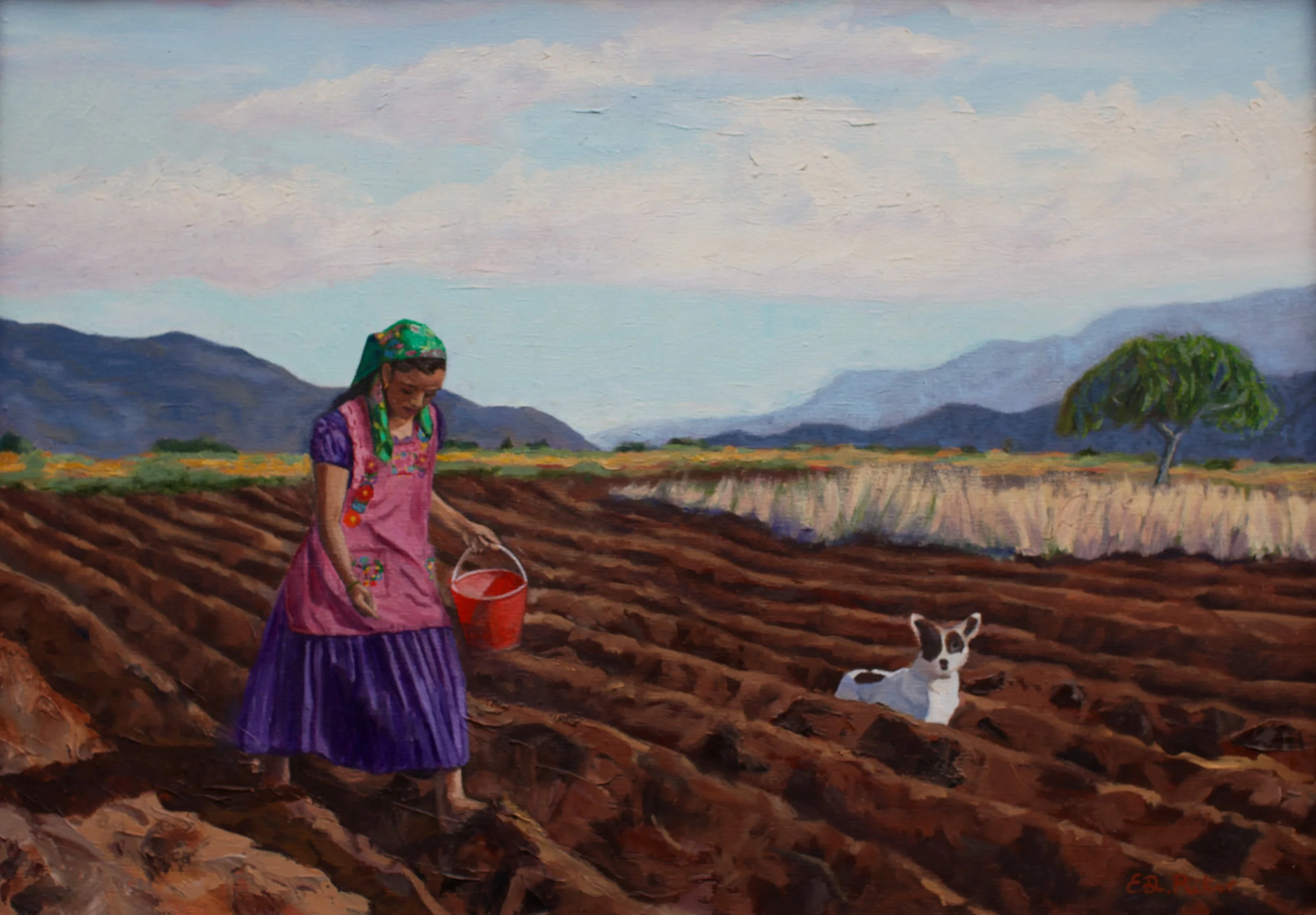 Elizabeth Riker Oaxacan Fields — Elizabeth Downer Riker