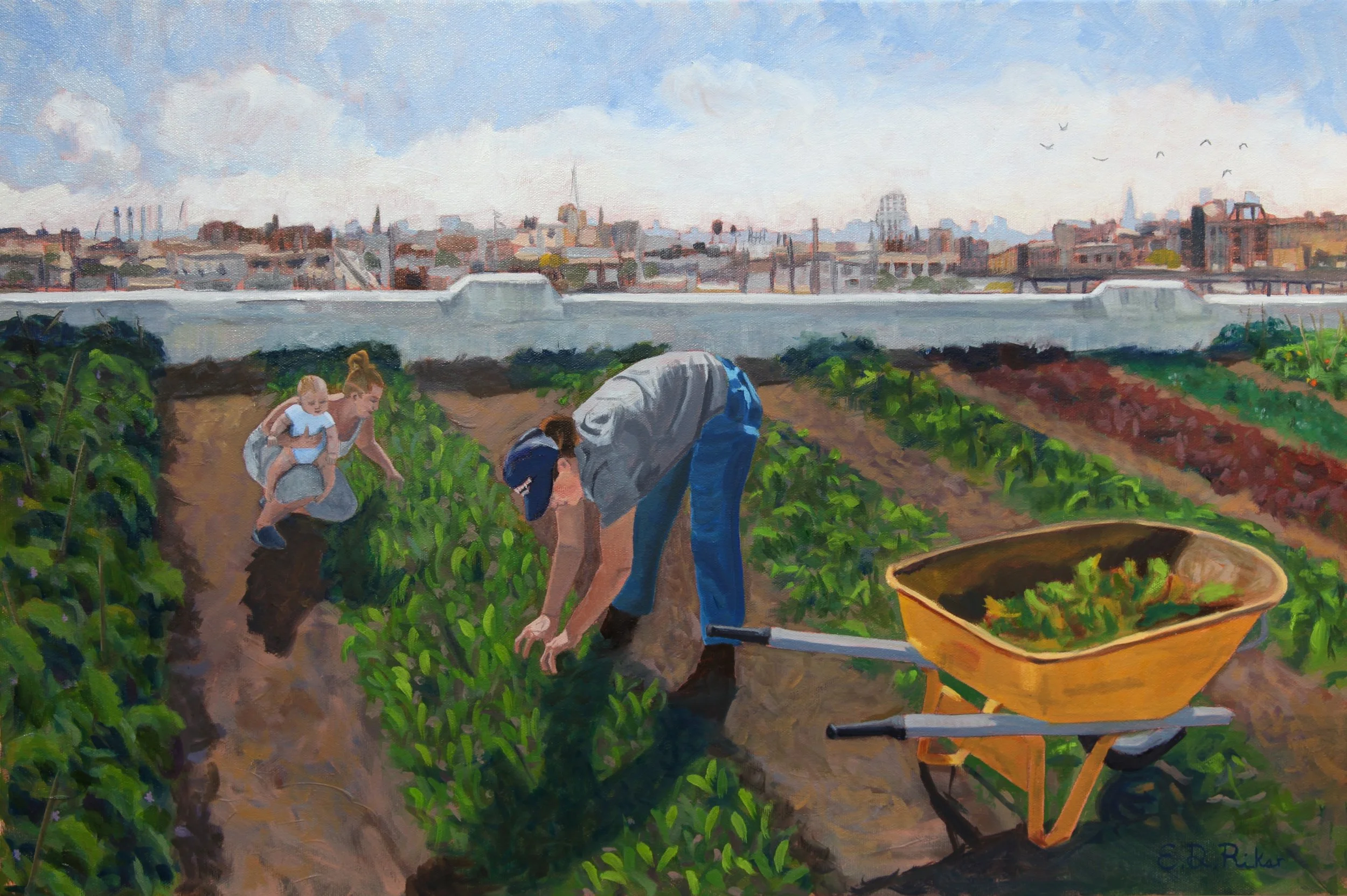 Rooftop Farms — Elizabeth Downer Riker