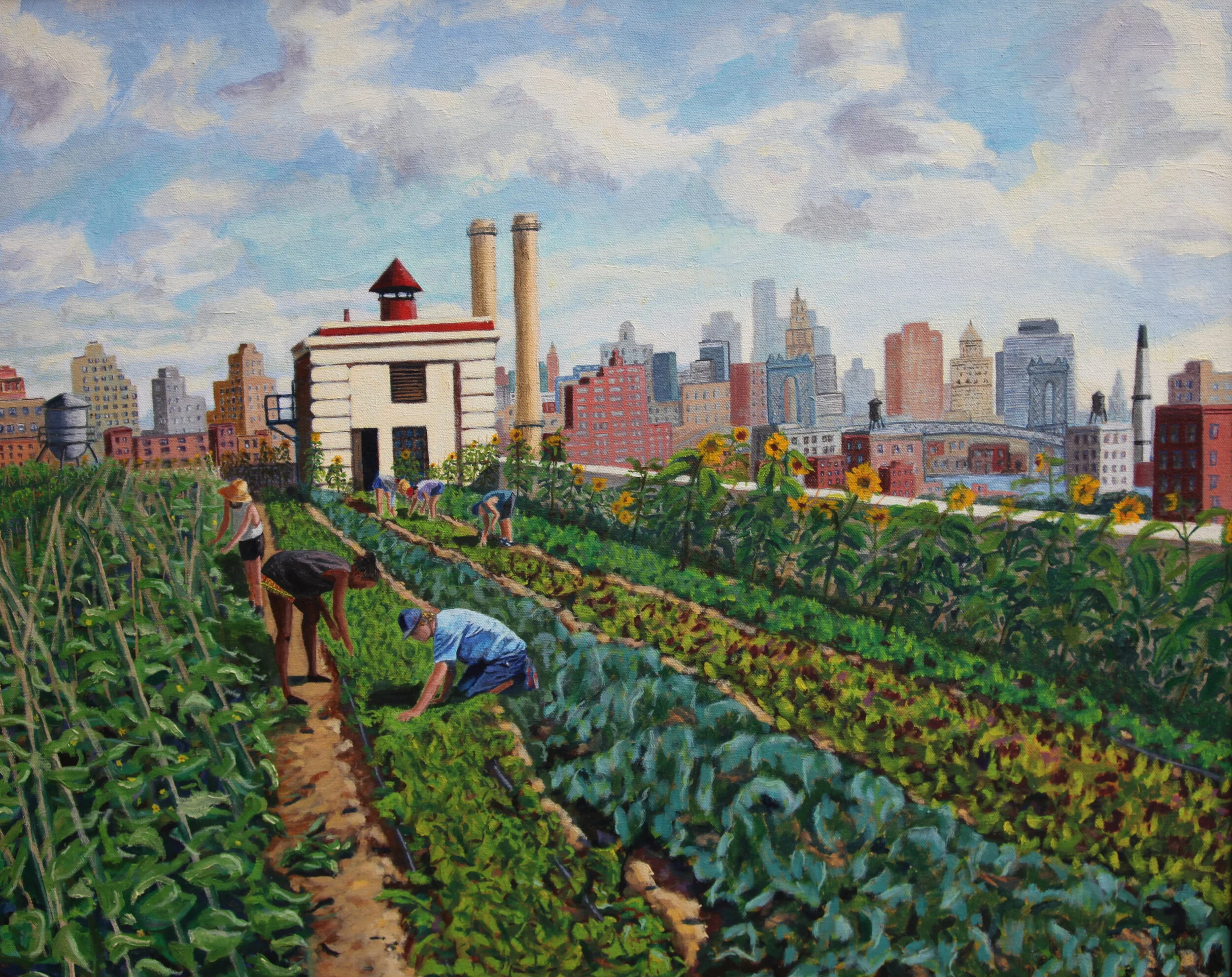 Panel of Rooftop Farmers
