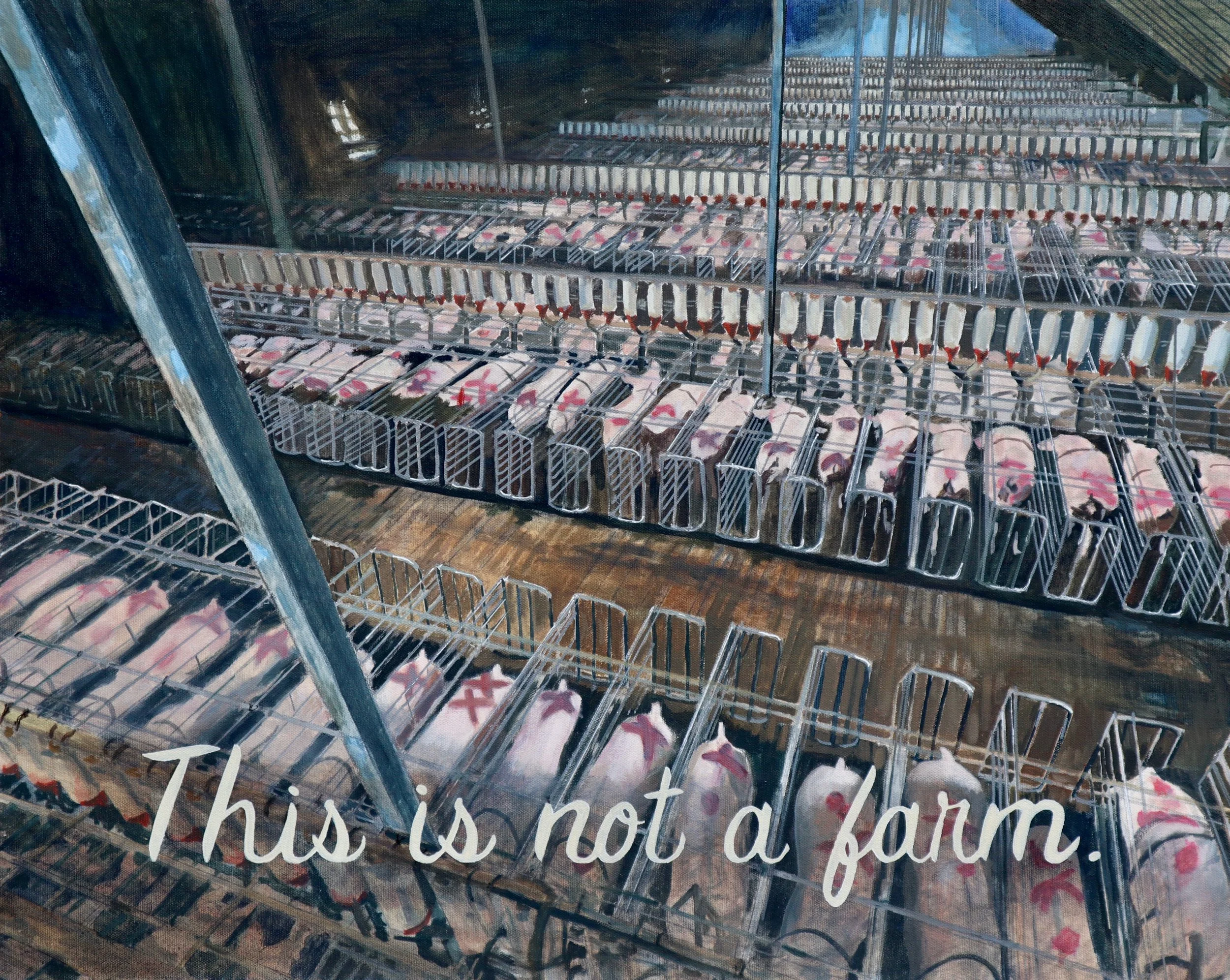 farm-5mb.jpeg