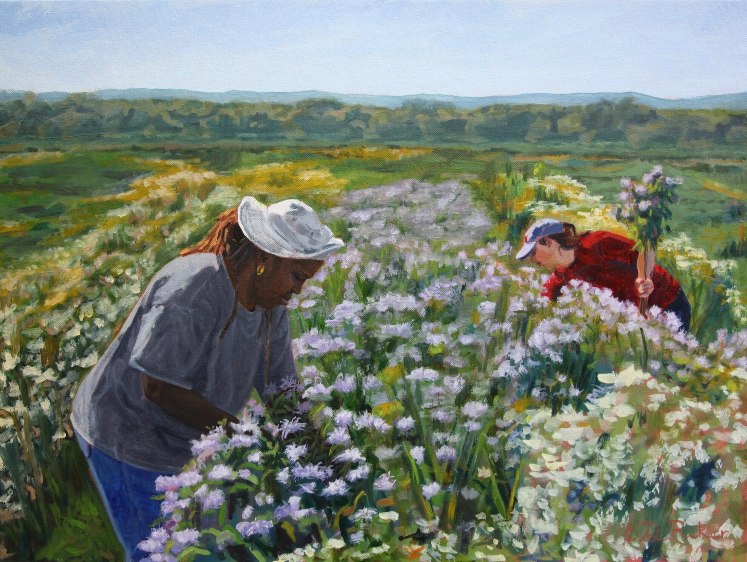 Harvesting+Bee+Balm.jpg