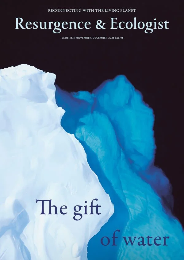 Cover of Resurgens & Ecologist magazine, Issue 353.