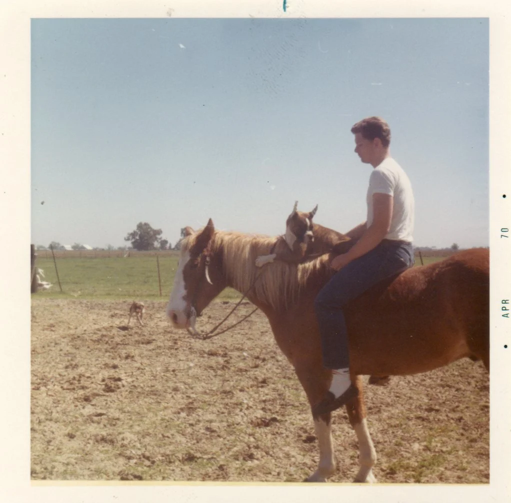 Big Boy — The Horse That Started it All Big Boy was Dr. Herthel's beloved horse for 37 years, helping to foster a love for veterinary medicine. Big Boy remained with Dr. Herthel from his adolescence spent near Calabasas, California, to his time at UC Davis and on to Los Olivos, where Dr. and Mrs. Herthel still live to this day.