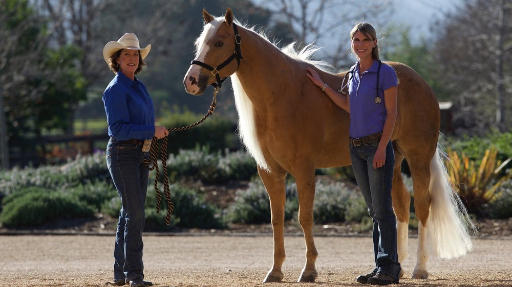 Our Team — Alamo Pintado Equine Medical Center Our Team — Alamo Pintado Equine Medical Center