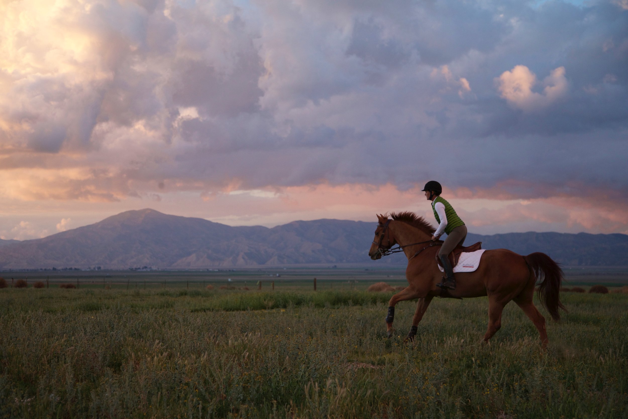 DS-3395_0265.jpg