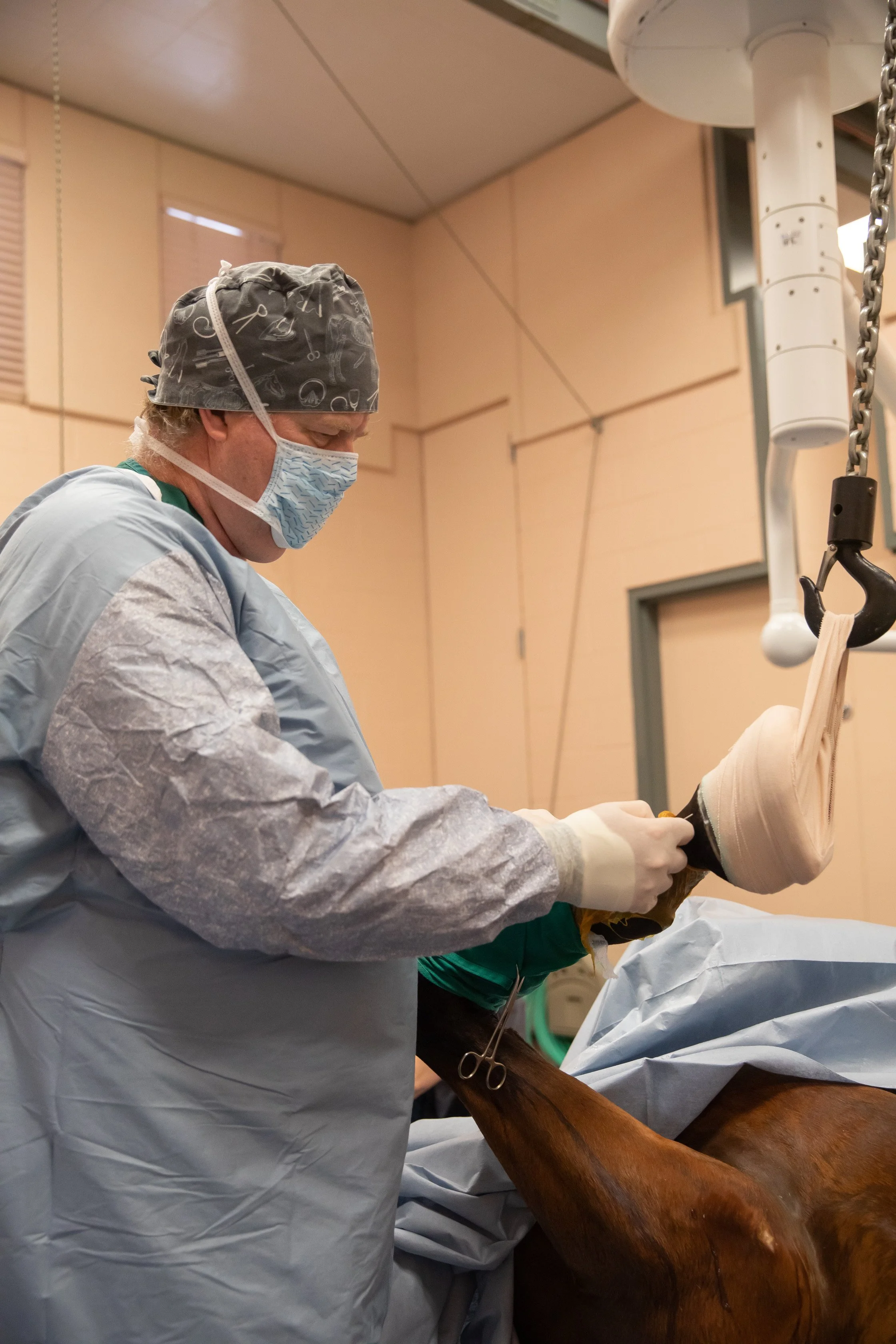 Team Spotlights — Alamo Pintado Equine Medical Center