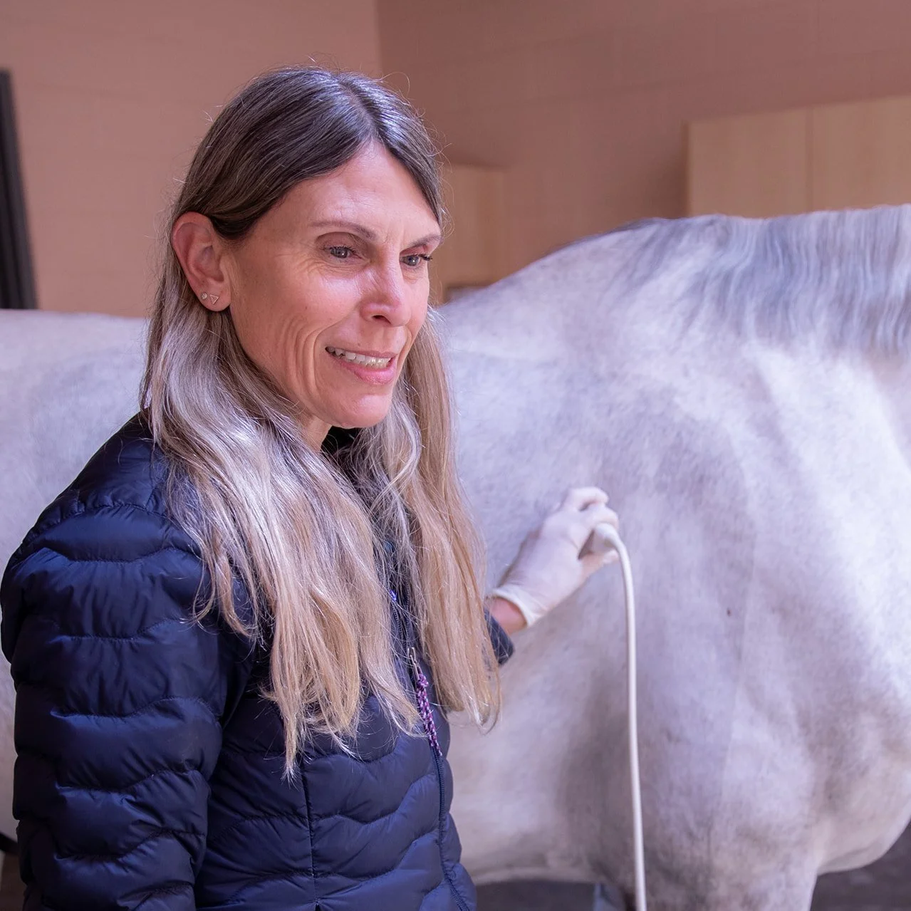 Internal Medicine — Alamo Pintado Equine Medical Center