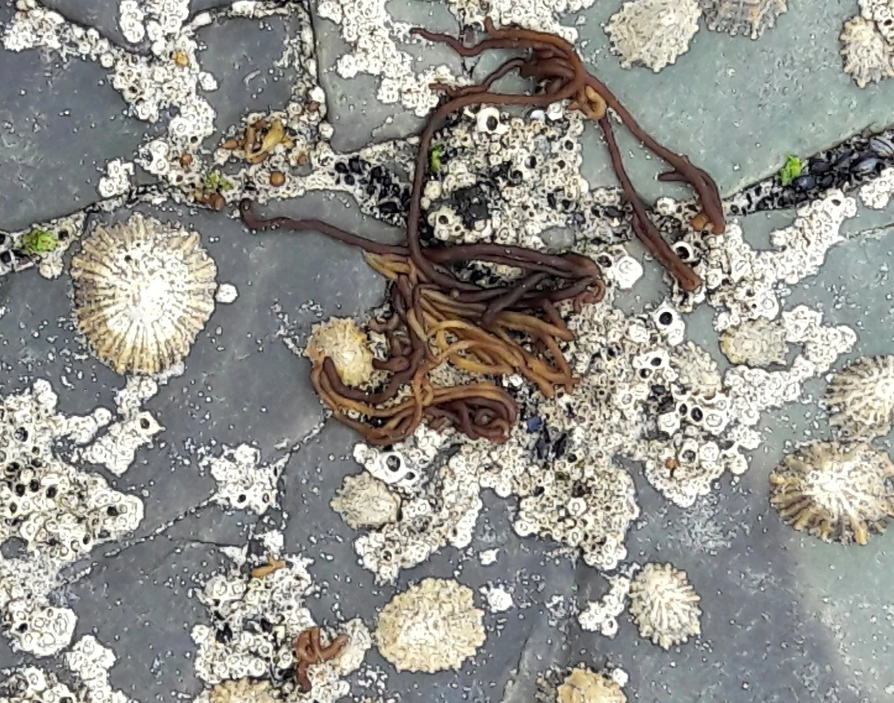 You'll find a surprising array of sea creatures here!