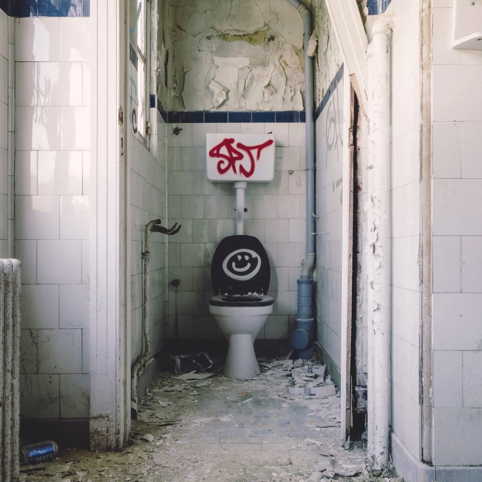 Did You Clean The Bathroom In Spanish Bathroom Poster