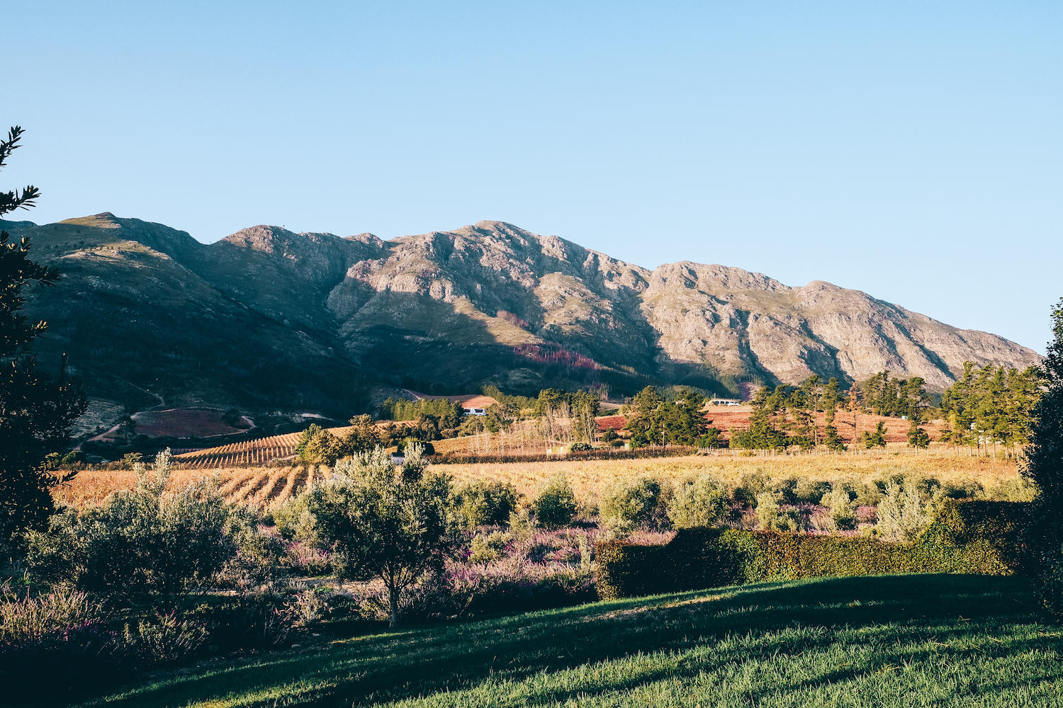 lr-franschhoek-valley.jpeg
