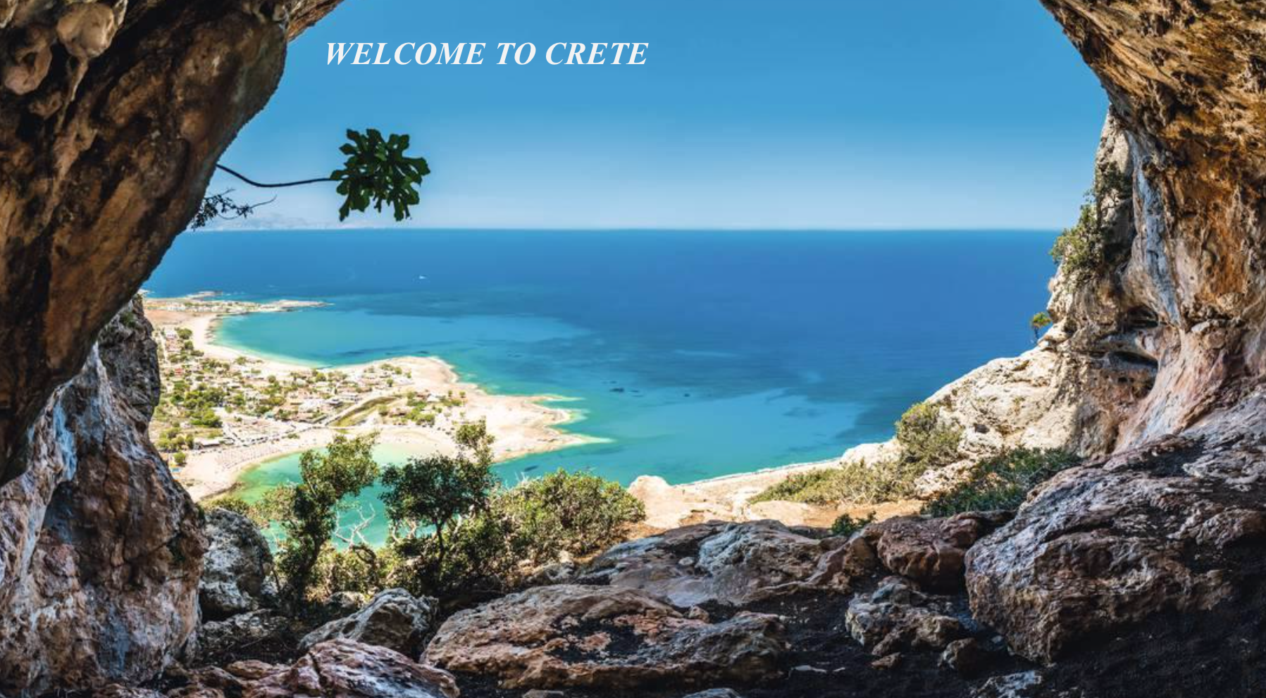 Screenshot 2019-02-23 12.01.52.png
