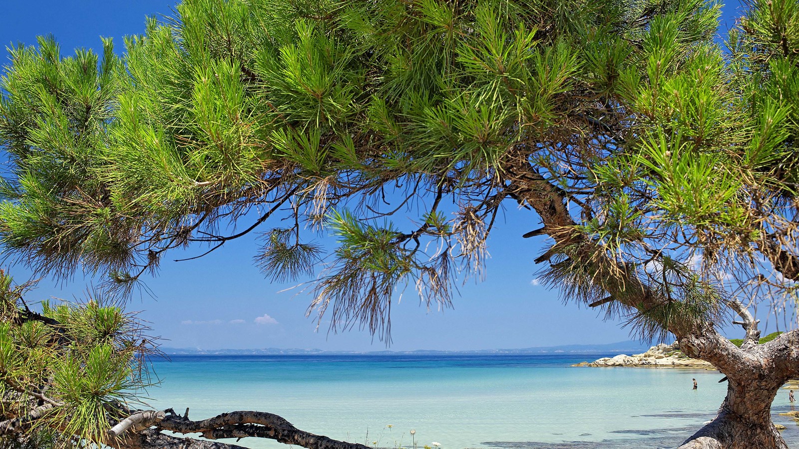 Greece_Halkidiki_004.jpeg