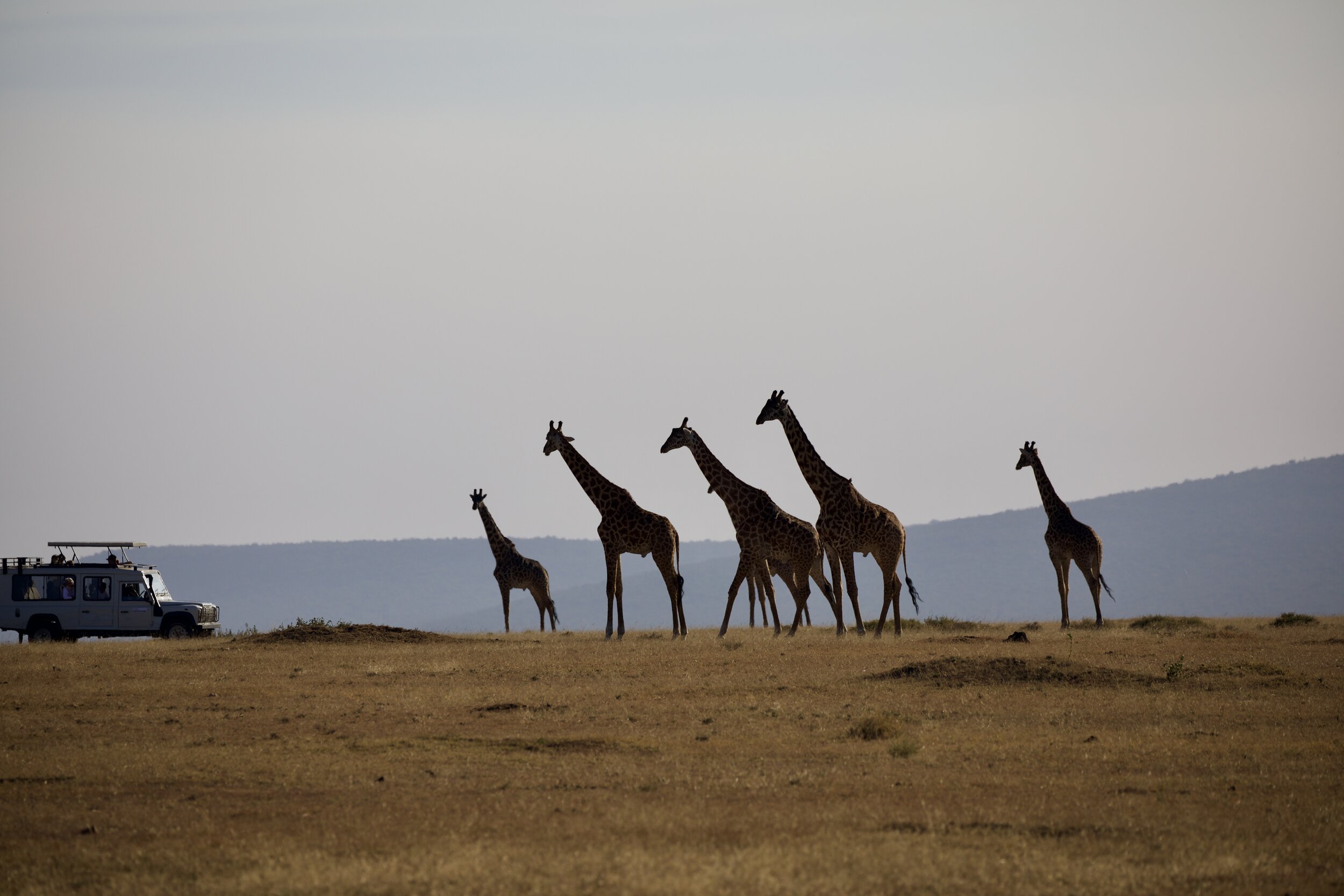 Tanzania