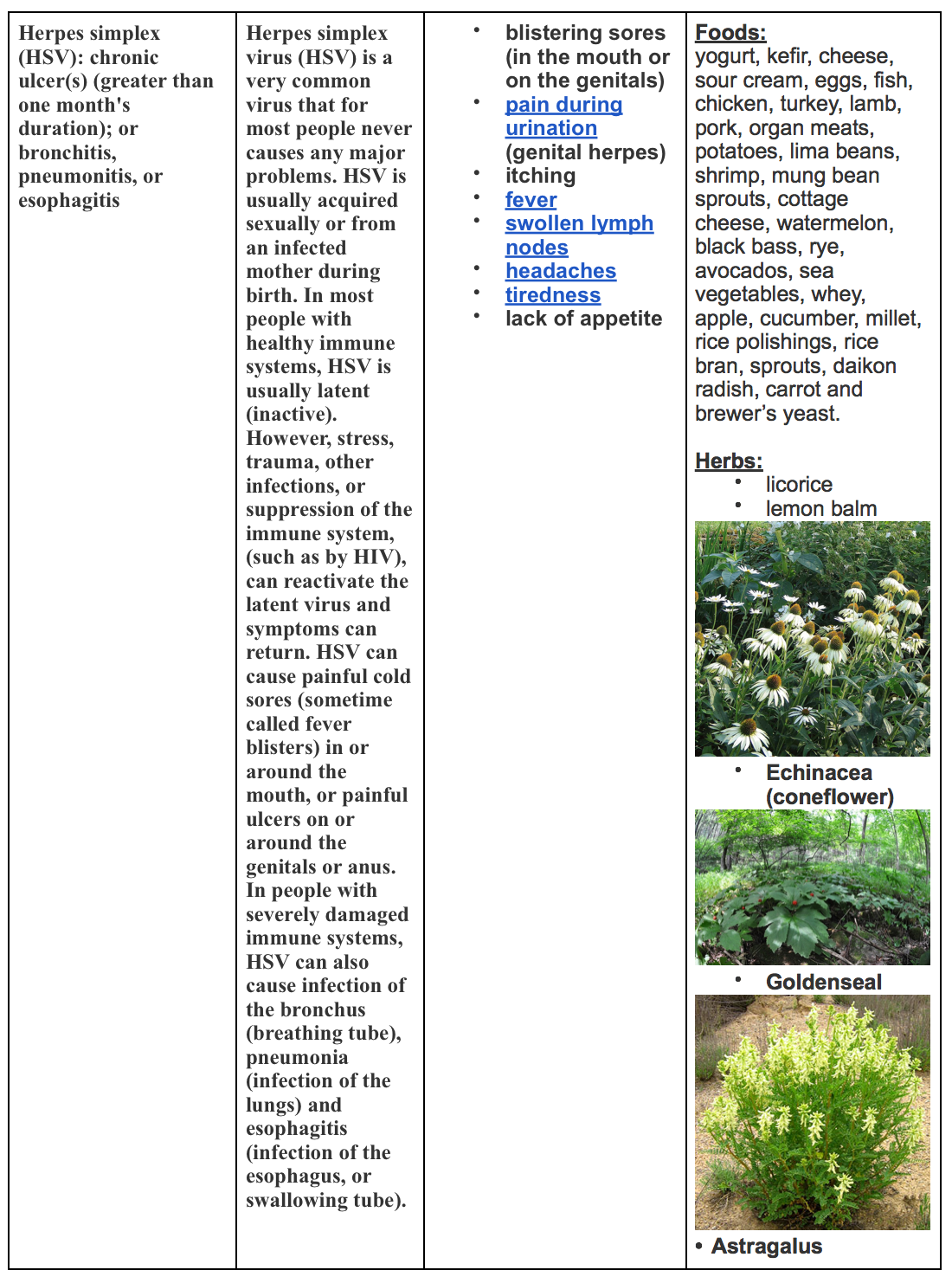 Screen Shot 2019-05-23 at 1.06.25 PM.png