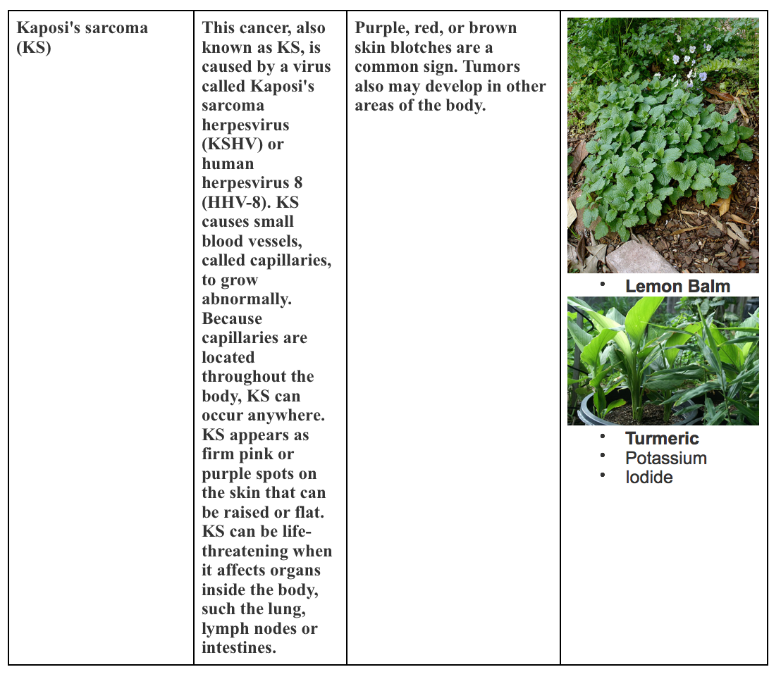Screen Shot 2019-05-23 at 1.06.46 PM.png