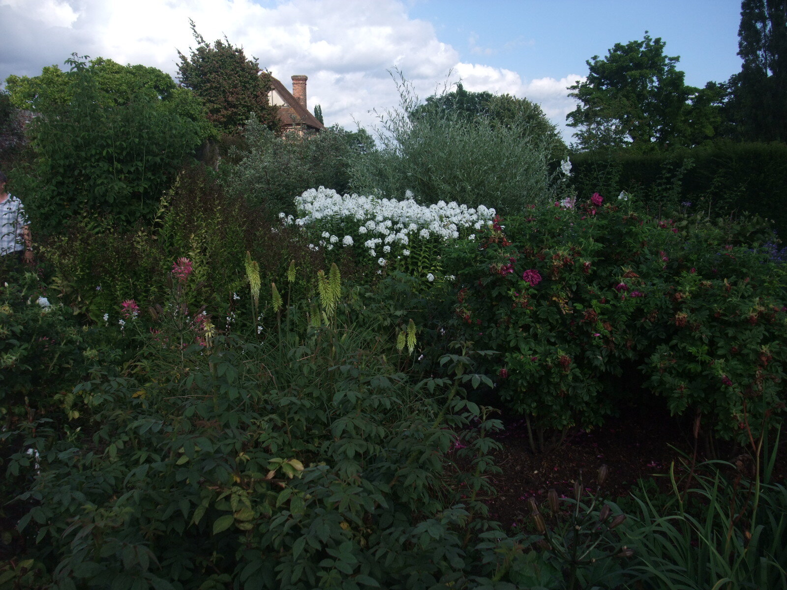 DSCF7629.JPG