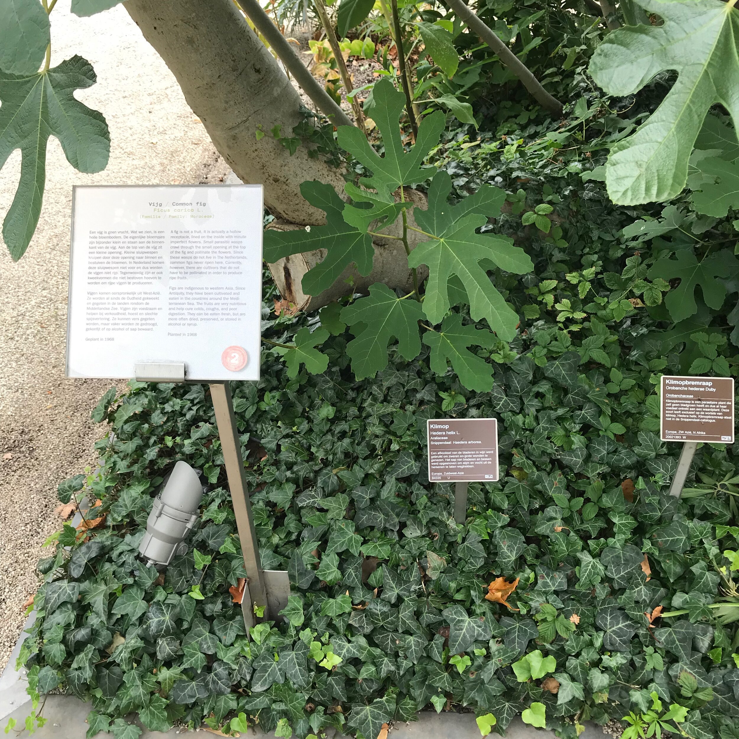IMG_4173.jpeg