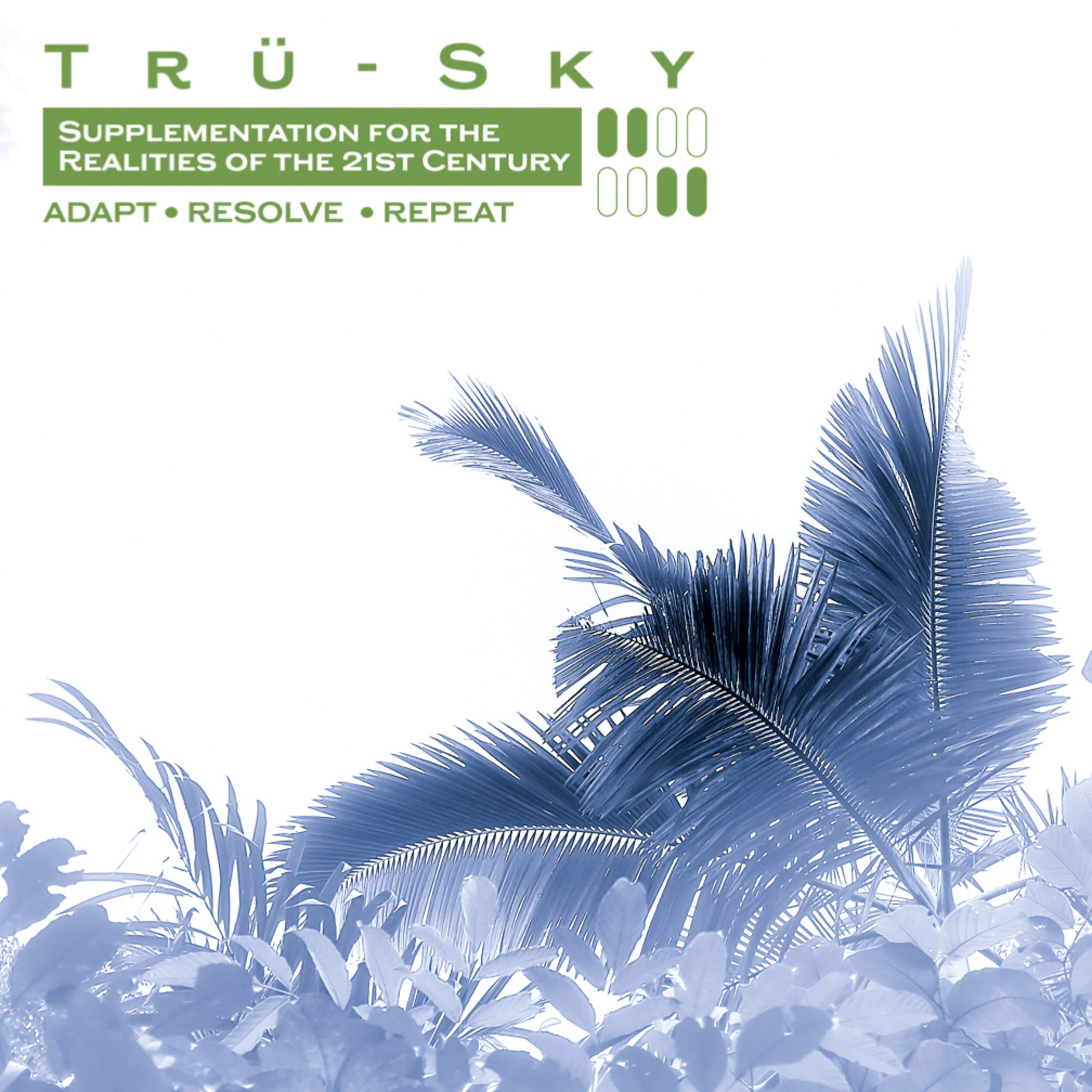 Simple Simple Surfer.JPG