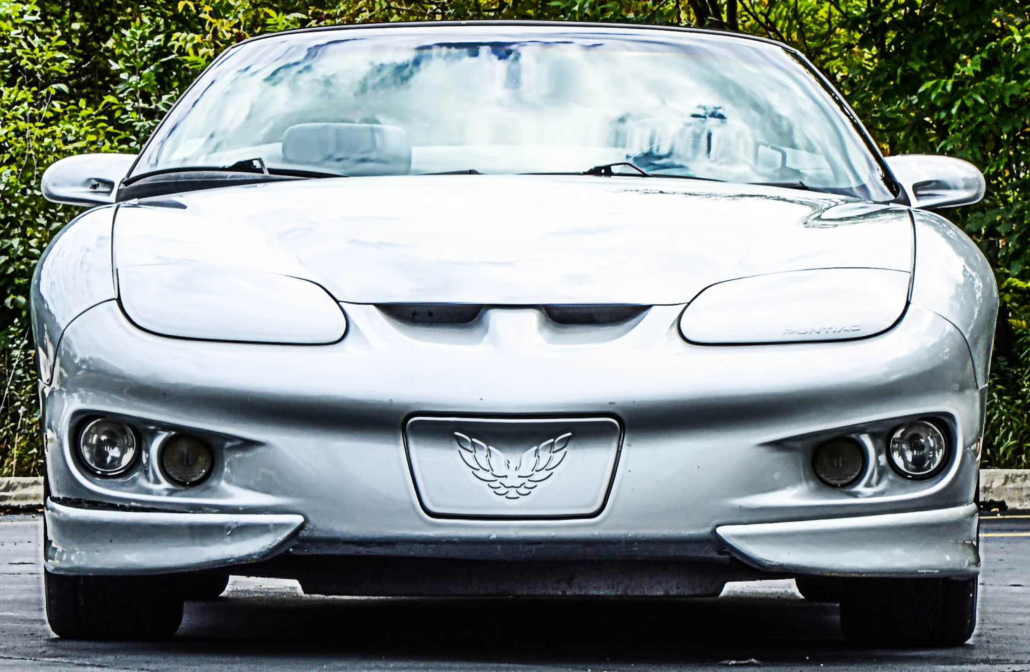 Front 1.jpg