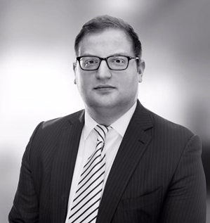Nicholas Logothetis