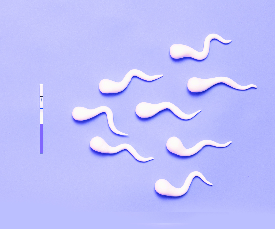 The Role of Reproductive Mental Health Professionals in Fertility Care ...
