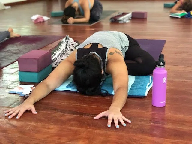 Panama Yoga Training 2024 Regular Rate Full