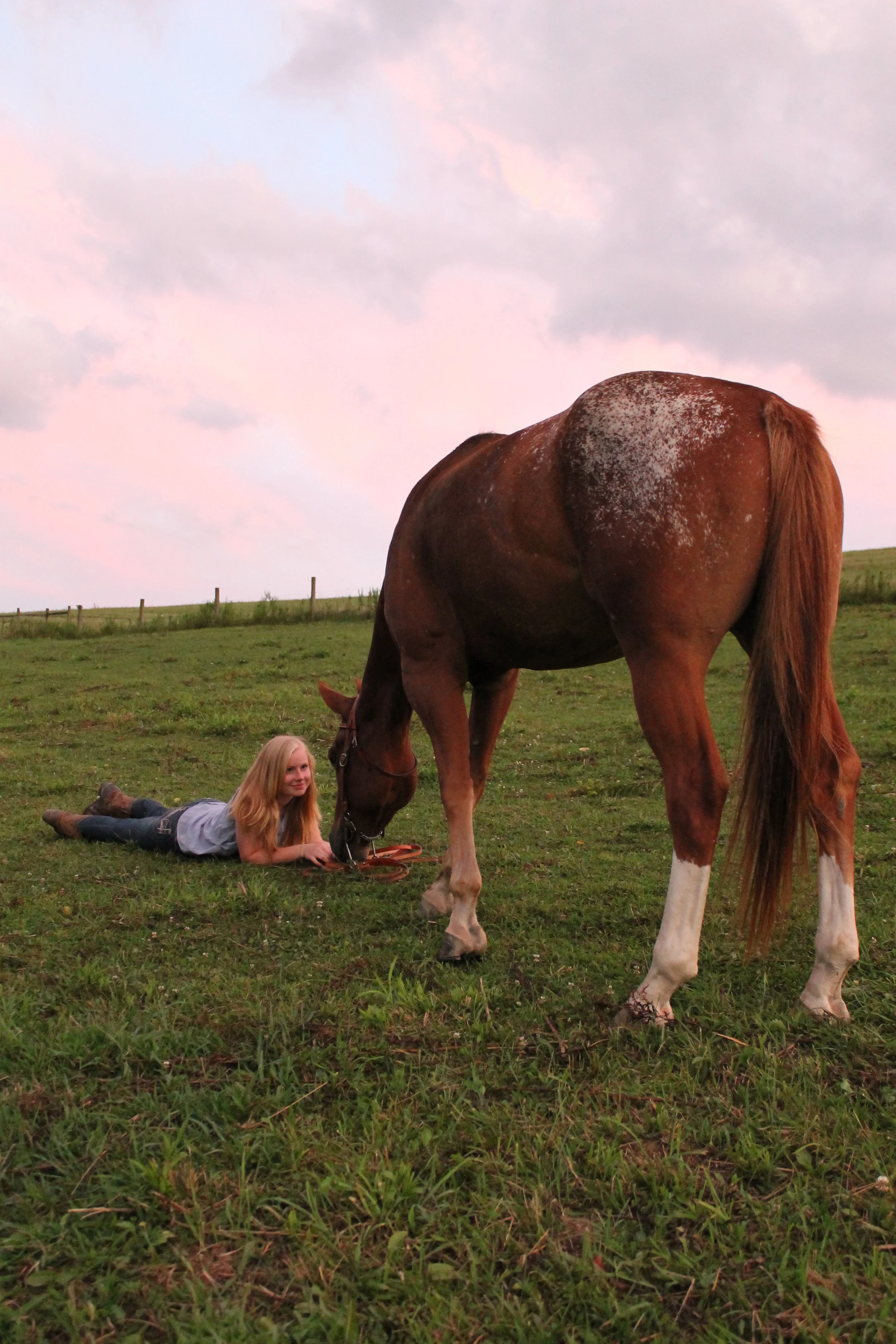 What Makes the Horse Such a Powerful Tool?