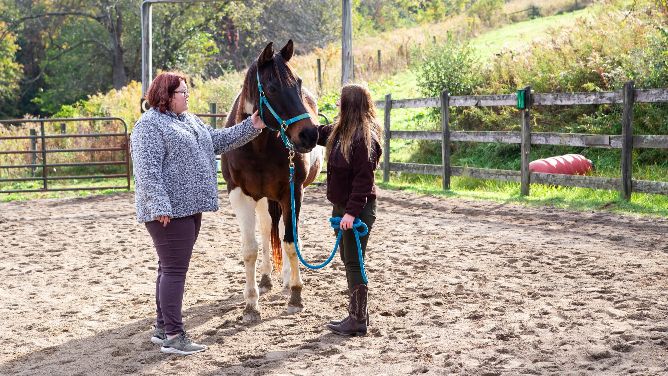Equine Assisted Learning Hilltop Horizons