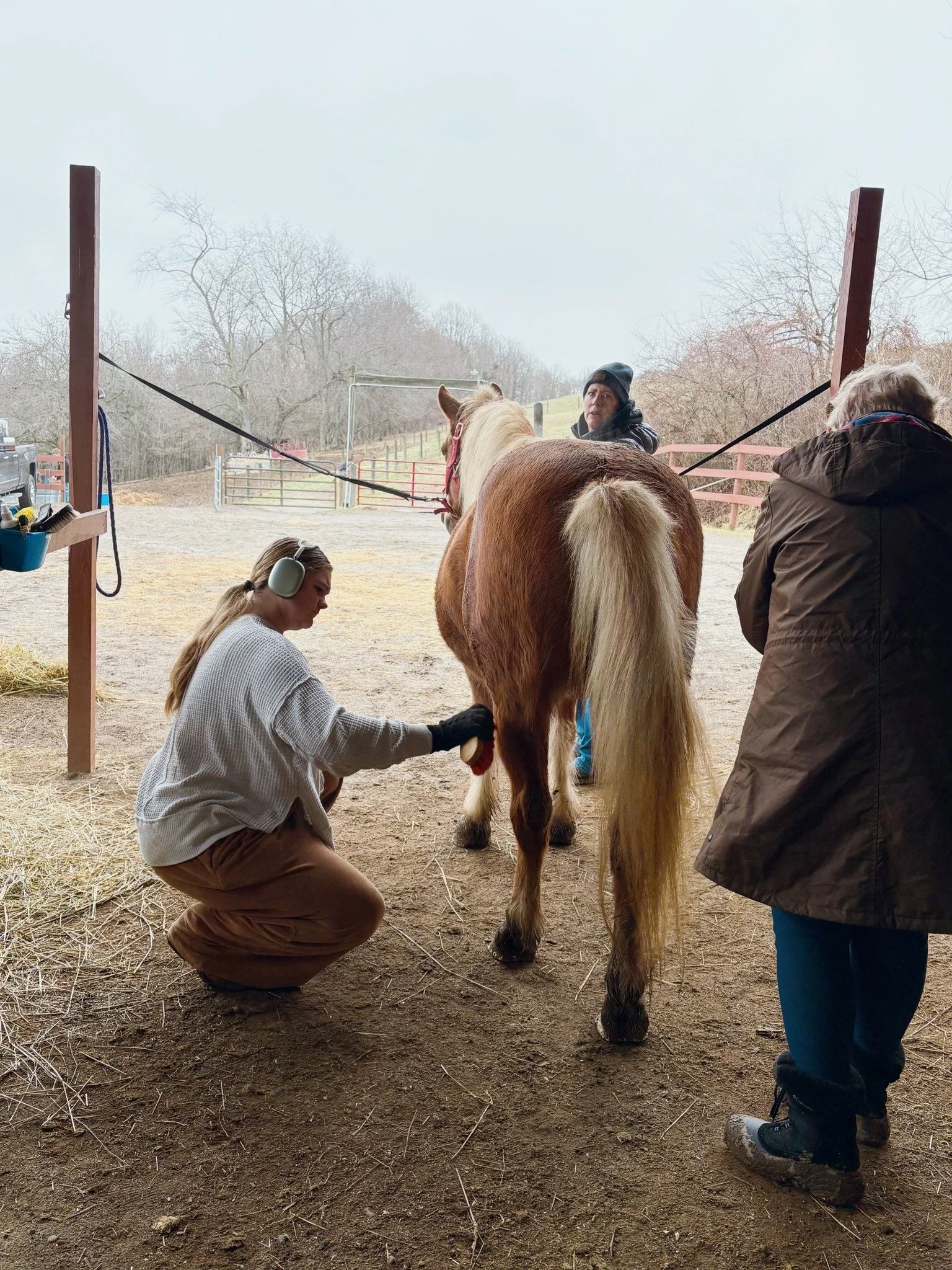 Winter Volunteer Spotlight
