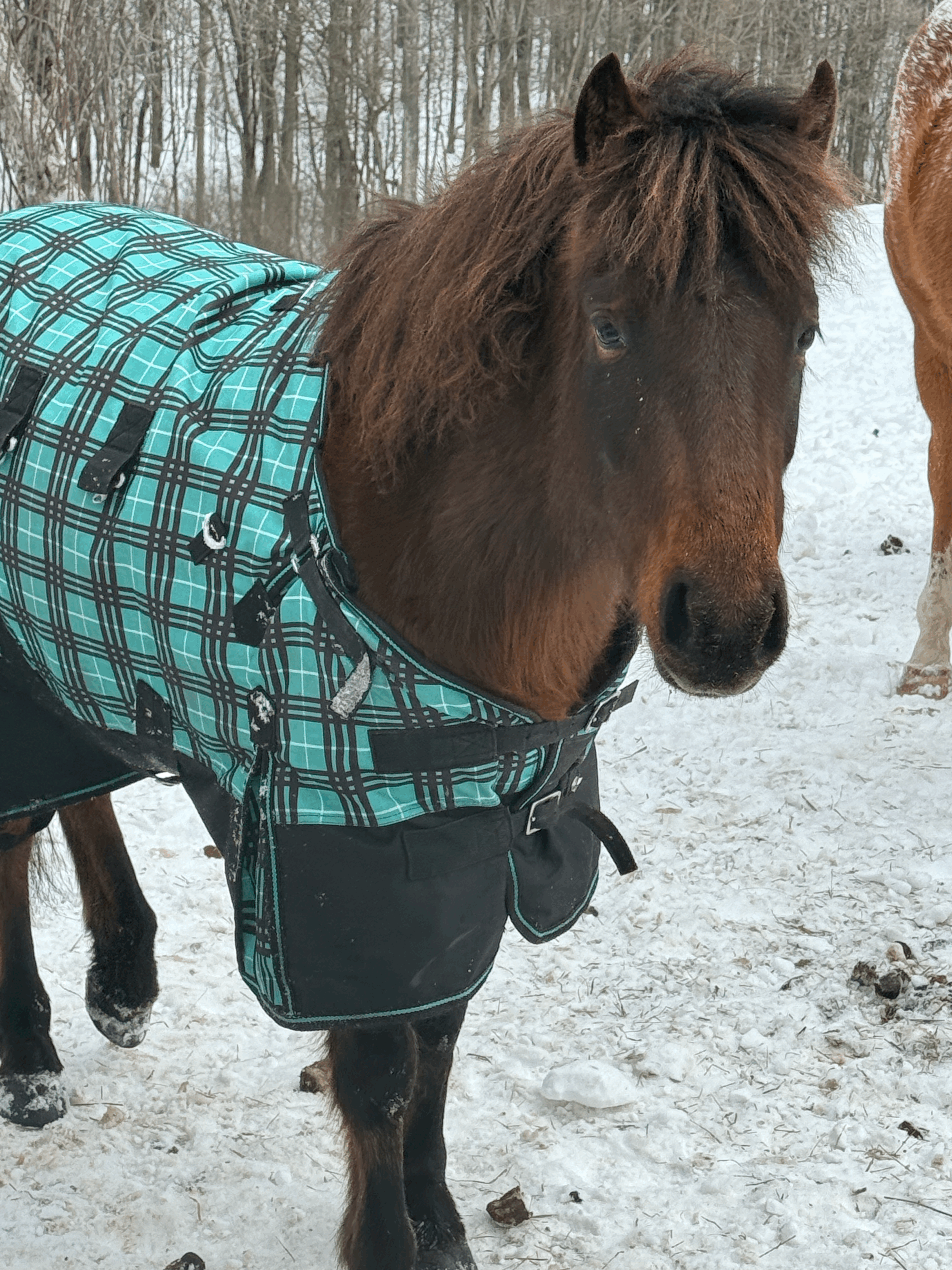 Hilltop at Home: February Edition