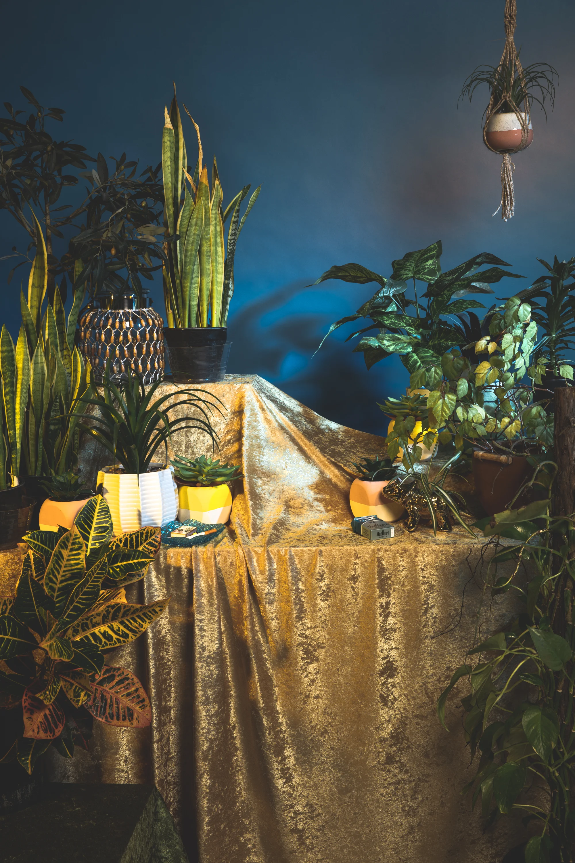 stilllife2-1.jpg