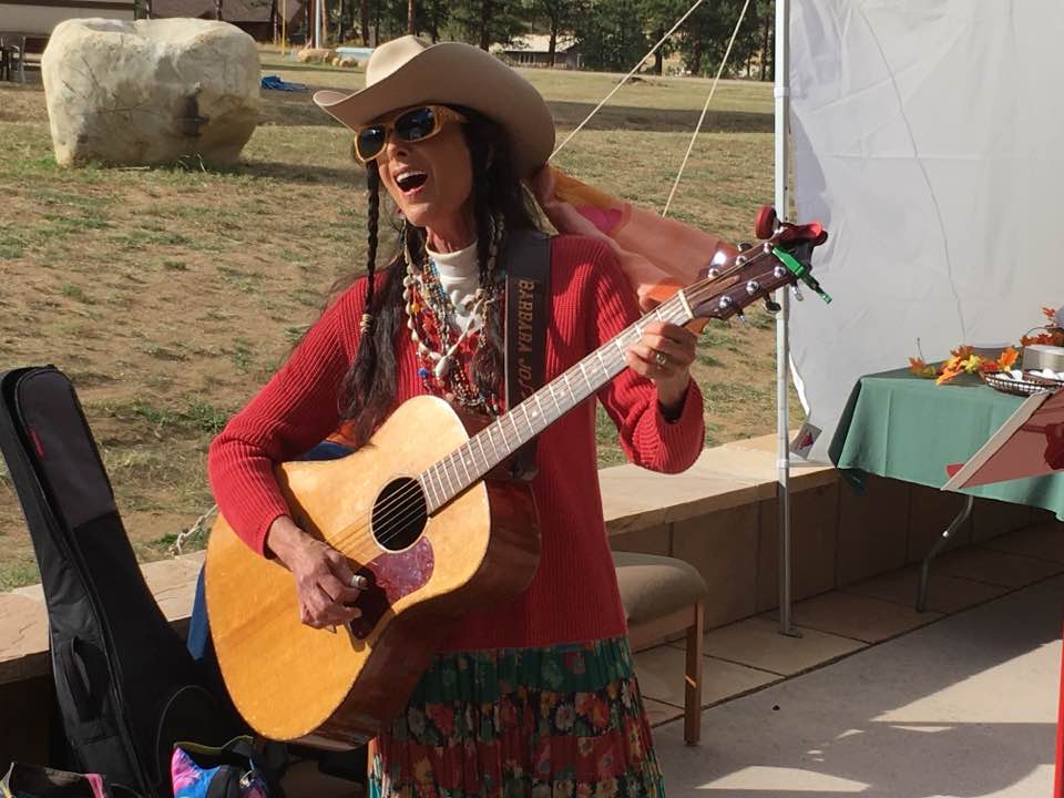 Barbara Jo Kammer performing at the Harmony Foundation Alumni Gala 2017