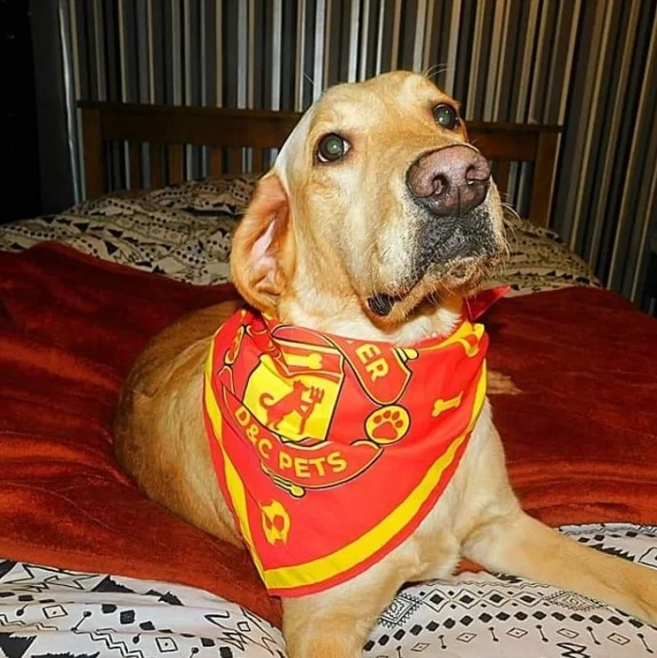 liverpool fc dog bandana