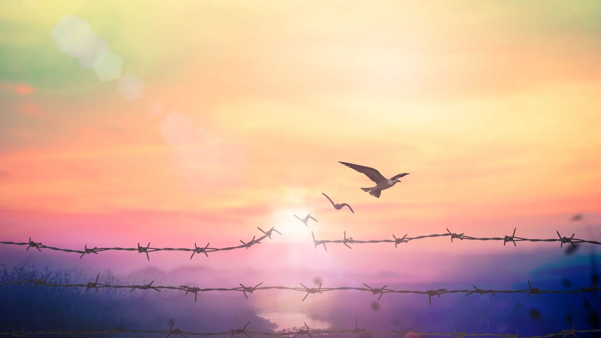 Unmasking Your Diet Mentality